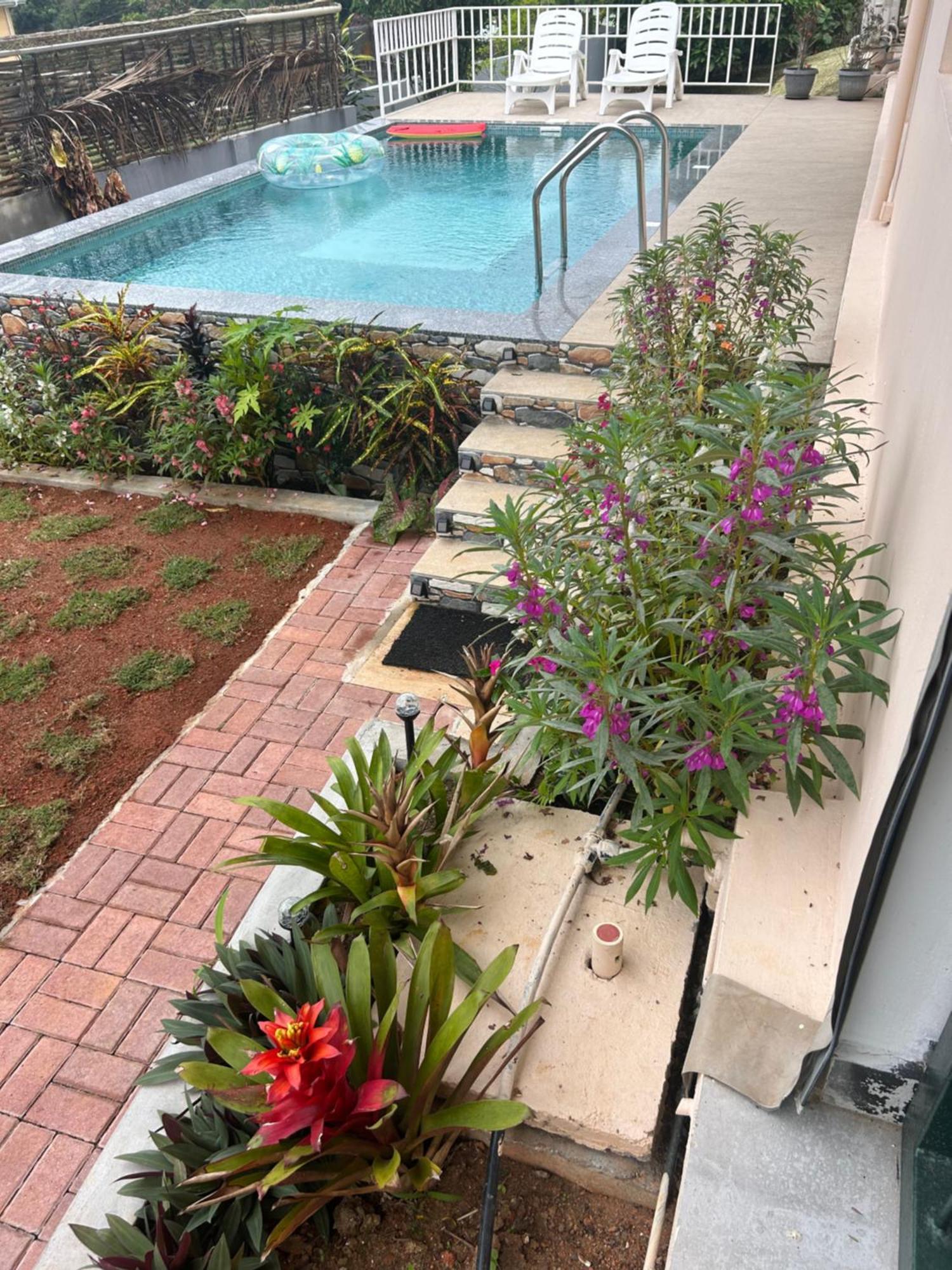 Apartamento The Olive Tree Misere Exterior foto